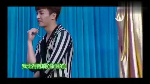 娱记爆料陈晓赵丽颖视频,甜蜜瞬间引网友热议